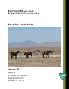 Blue Wing Complex Gather