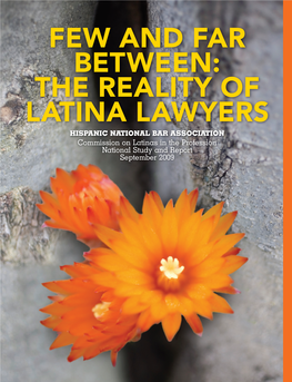 Few and Far Between: the Reality of Latina Lawyers