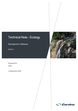Springbrook Cableway Technical Note