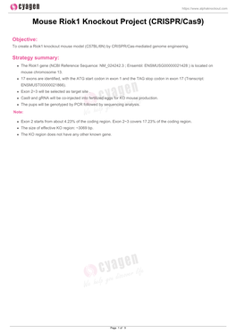 Mouse Riok1 Knockout Project (CRISPR/Cas9)