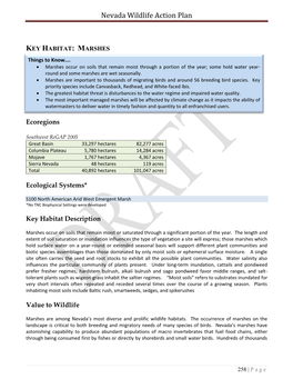 Nevada Wildlife Action Plan