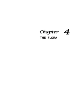 Chapter 444 the FLORA the FLORA