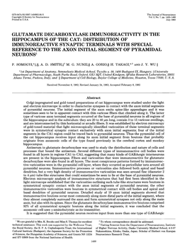 Glutamate Decarboxylase Immunoreactivity in the Hippocampus of The