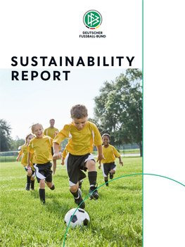 Sustainability Report Areas Where the Dfb Is Active