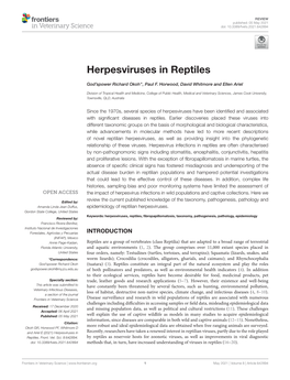 Herpesviruses in Reptiles
