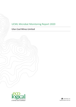 UCML Microbat Monitoring Report 2020