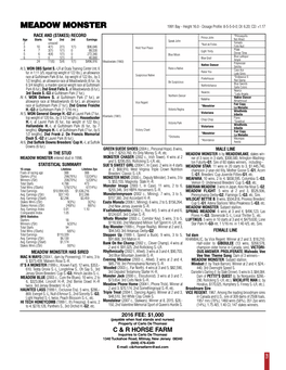 MEADOW MONSTER 1991 Bay - Height 16.0 - Dosage Profile: 8-5-5-0-0; DI: 6.20; CD: +1.17