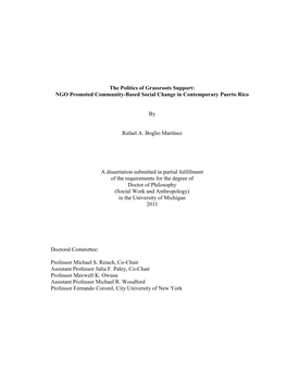 The Politics of Grassroots Support: NGO Promoted Community-Based Social Change in Contemporary Puerto Rico