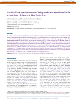 The Small Nuclear Genomes Ofselaginellaare Associated with A