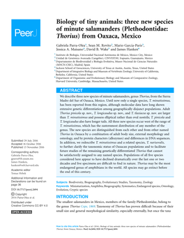 Biology of Tiny Animals: Three New Species of Minute Salamanders (Plethodontidae: Thorius) from Oaxaca, Mexico