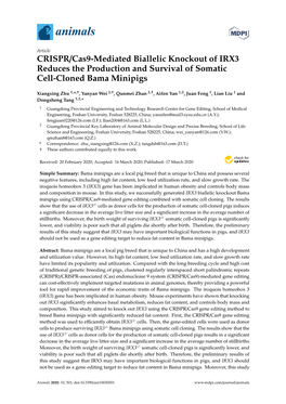 CRISPR/Cas9-Mediated Biallelic Knockout of IRX3 Reduces the Production and Survival of Somatic Cell-Cloned Bama Minipigs