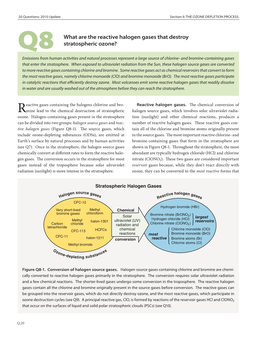 Q8 What Are the Reactive Halogen Gases That Destroy