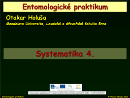 EMP CV07 Hemiptera-1 Bez OBR.Pdf