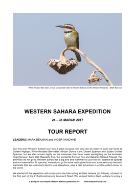 Western Sahara Expedition Tour Report