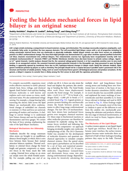 Feeling the Hidden Mechanical Forces in Lipid Bilayer Is an Original Sense Andriy Anishkina, Stephen H