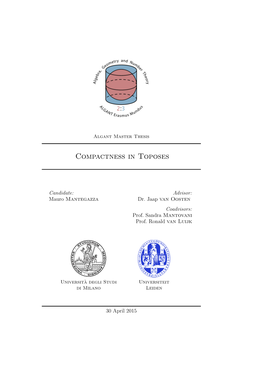 Compactness in Toposes