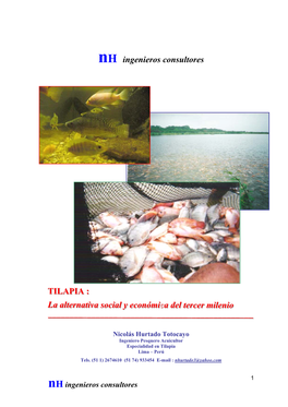 Tilapia Lima – Perú Tels