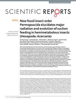 New Fossil Insect Order Permopsocida Elucidates Major