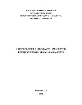 O Tropicalismo E a Cultura Pop – Um Encontro Interdiscursivo Em Adriana Calcanhotto
