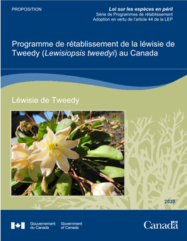 Léwisie De Tweedy (Lewisiopsis Tweedyi) Au Canada