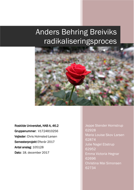 Anders Behring Breiviks Radikaliseringsproces