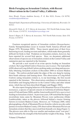 Birds Foraging on Jerusalem Crickets, with Recent Observations in the Central Valley, California