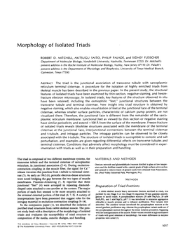 Morphology of Isolated Triads