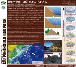 梶山のタービダイト 深海の記憶：梶山のタービダイト South Nakaizu Area : Hinata Geosite Memories of the Ocean Depth: Kajiyama Turbidite Kajiyama Turbidite