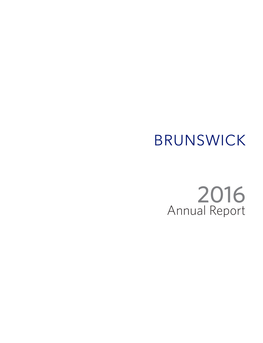 Annual Report ﻿ ﻿