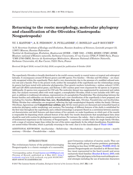 Morphology, Molecular Phylogeny and Classification of the Olivoidea (Gastropoda: Neogastropoda)