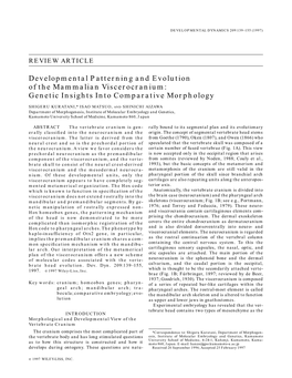 Developmental Patterning and Evolution of the Mammalian Viscerocranium: Genetic Insights Into Comparative Morphology