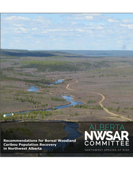 Recommendations for Boreal Woodland Caribou Population Recovery in Northwest Alberta