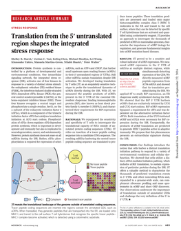 Translation from the 5′ Untranslated Region Shapes the Integrated Stress Response Shelley R