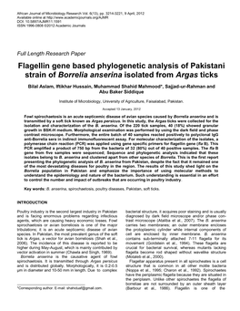 Flagellin Gene Based Phylogenetic Analysis of Pakistani Strain of Borrelia Anserina Isolated from Argas Ticks