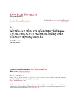 Identification of Key Anti-Inflammatory Echinacea Constituents and Their