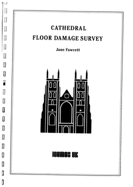 Cathedral Floor Damage Survey