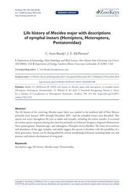 ﻿Life History of Mecidea Major with Descriptions of Nymphal Instars