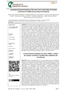 Anatomical Characterization of the Roots, Leaves and Culms of Guadua Weberbaueri in Different Growing Environments