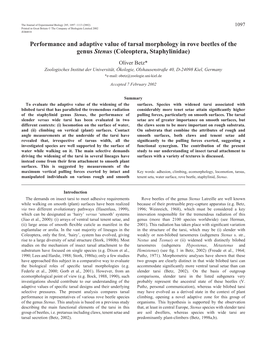 Tarsal Morphology of Rove Beetles 1099 Iv, Additional Tests Were Performed with S