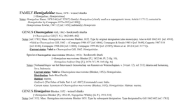 GENUS Chaenogaleus Gill, 1862 - Hooktooth Sharks [=Chaenogaleus Gill [T