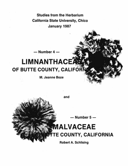 Limnanthaceae and Malvaceae