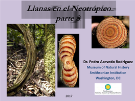 Lianas En El Neotropico