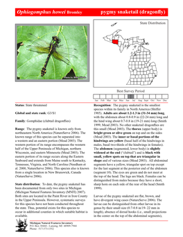 Ophiogomphus Howei Bromley Pygmy Snaketail Pygmy(Dragonfly) Snaketail, Page 