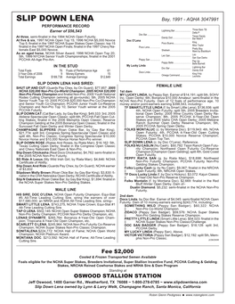 SLIP DOWN LENA Bay, 1991 - AQHA 3047991 PERFORMANCE RECORD Lightning Bar