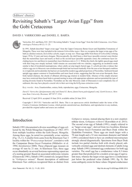 Revisiting Sabath's “Larger Avian Eggs” from the Gobi Cretaceous