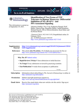 B/AP-1 Κ Inhibition of NF- Tolerance in Human Monocytes