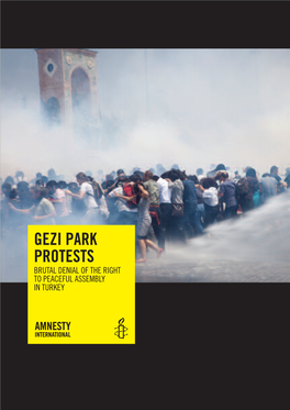 Gezi Park Protests Brutal Denial of the Right to Peaceful Assembly in Turkey