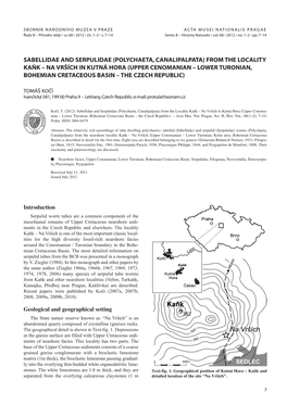 Sabellidae and Serpulidae (Polychaeta, Canalipalpata