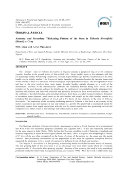 Anatomy and Secondary Thickening Pattern of the Stem in Tithonia Diversifolia (Hemsl) a Gray