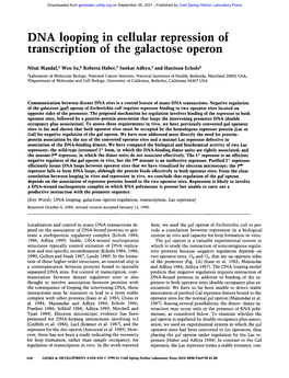 DNA Loop.Ing in Cellular Repression of Transcription of the Galactose Operon